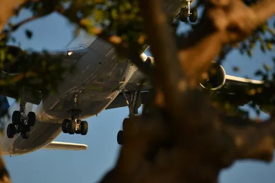 DSC_5750 (Large).JPG